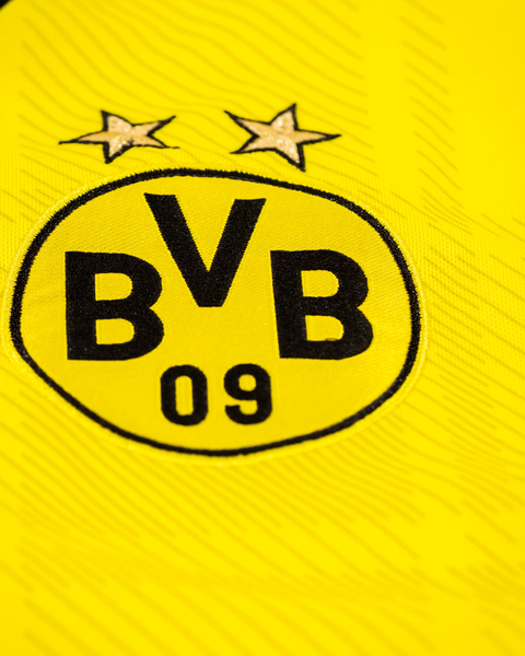 Borussia Dortmund 2013/14 Home Shirt — M