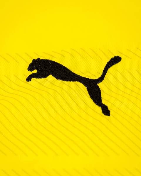Borussia Dortmund 2013/14 Home Shirt — M