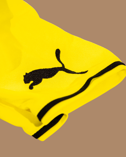 Borussia Dortmund 2013/14 Home Shirt — M