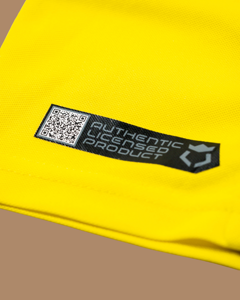Borussia Dortmund 2013/14 Home Shirt — M